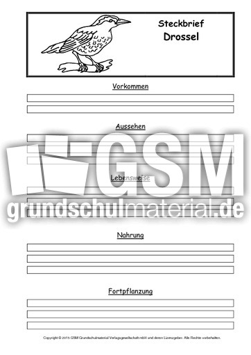 Steckbriefvorlage-Drossel.pdf